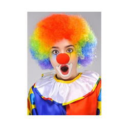 Perruque Rainbow Pride ou Clown