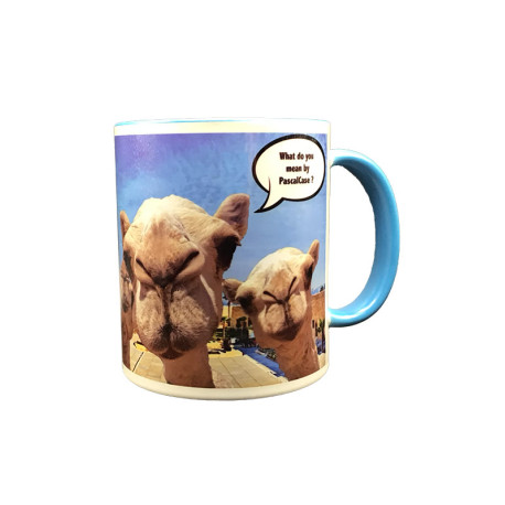 Mug Camel or Pascal case ?